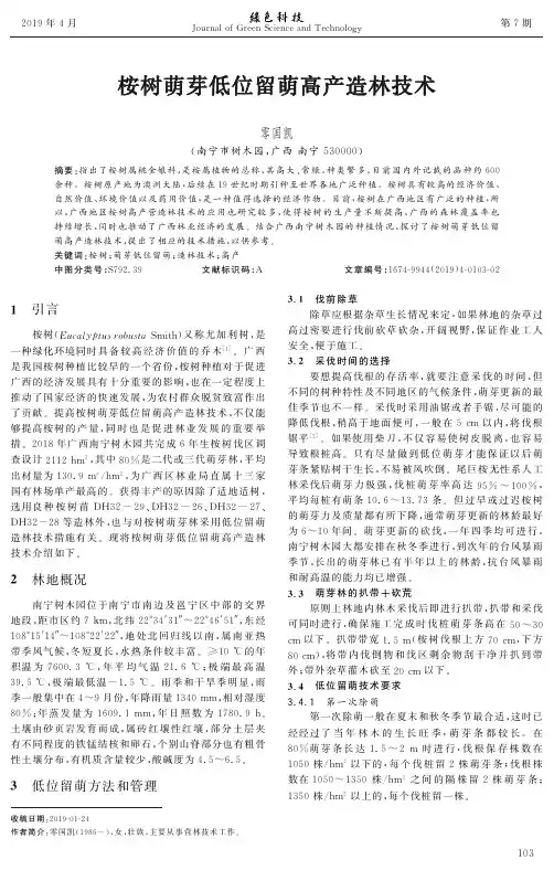 桉树萌芽低位留萌高产造林技术