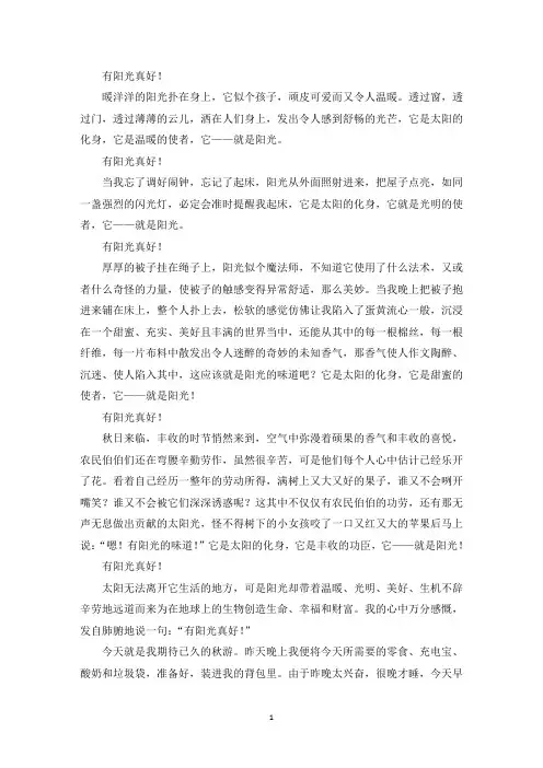 精选优秀作文有阳光真好