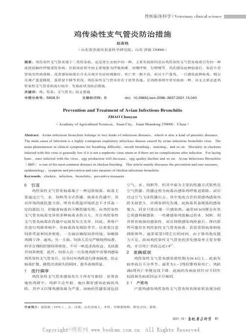 鸡传染性支气管炎防治措施