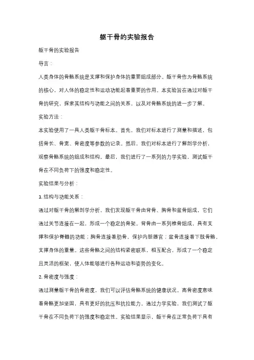 躯干骨的实验报告