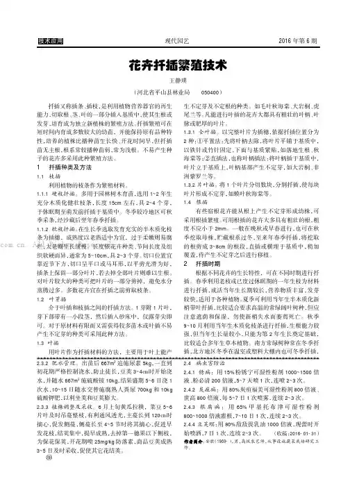 花卉扦插繁殖技术