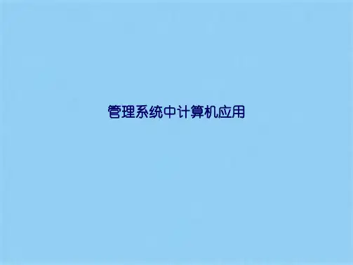 管理系统中计算机应用(共21张PPT)