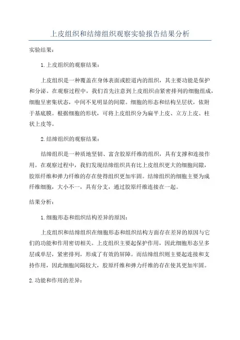 上皮组织和结缔组织观察实验报告结果分析