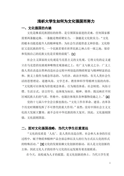浅析大学生如何为文化强国而努力