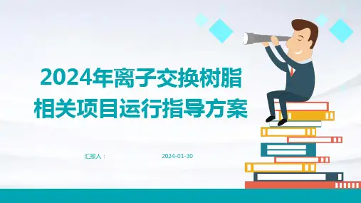 2024年离子交换树脂相关项目运行指导方案