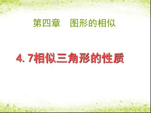 2023—2024学年北师大版数学九年级上册4