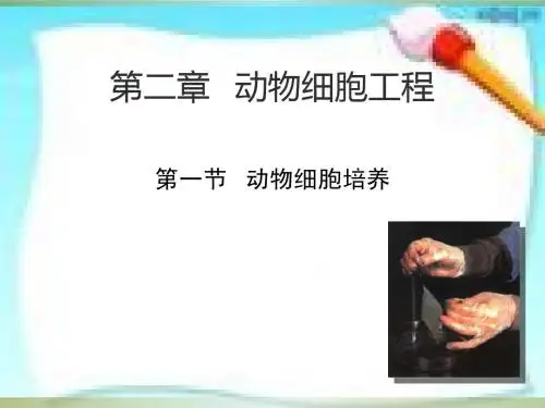高中生物(新人教版)选修三：专题2《细胞工程》：2.2《动物细胞工程》课件(新人教版选修3)