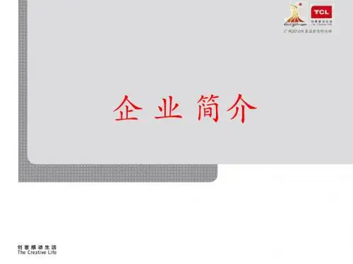TCL集团ppt(余海波)
