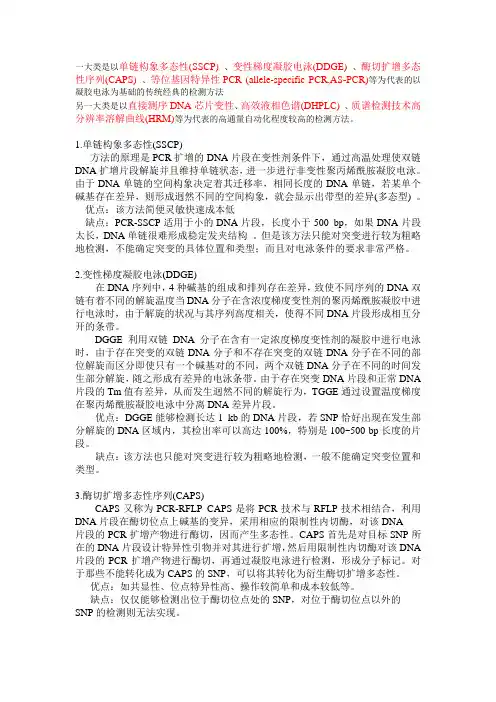 SNP检测方法