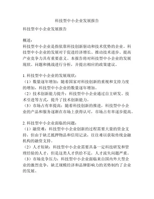 科技型中小企业发展报告