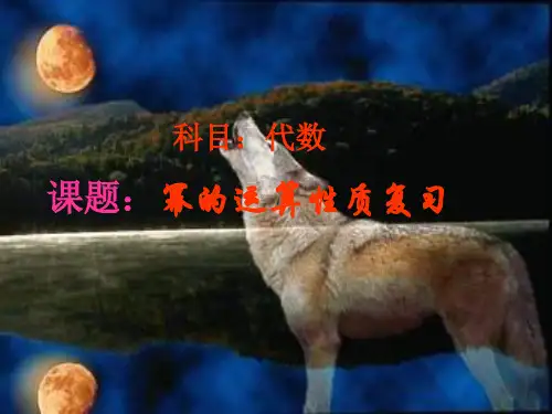 幂的运算性质复习PPT教学课件
