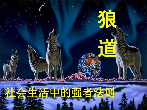 狼道——社会生活中的强者法则.ppt