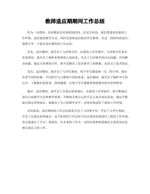 教师适应期期间工作总结