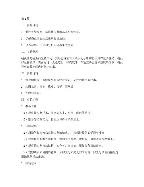 实验报告蛲虫卵手绘(3篇)