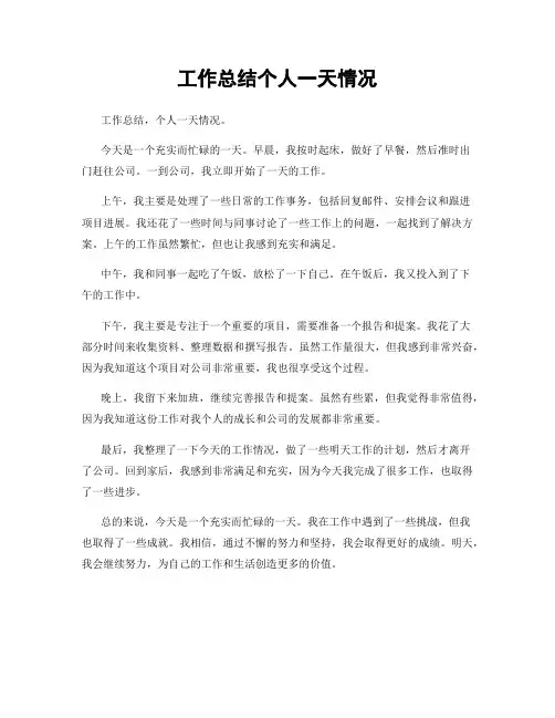 工作总结个人一天情况