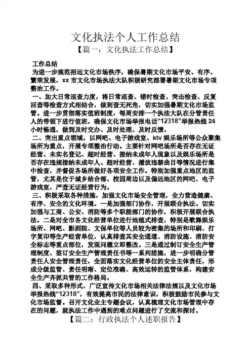 文化执法个人工作总结