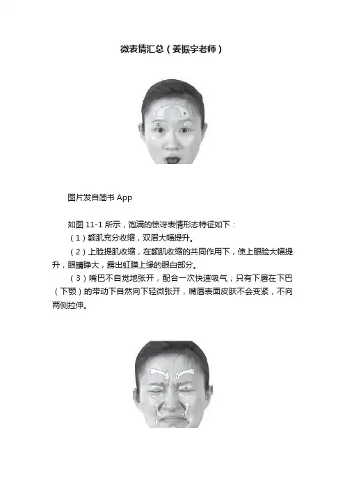 微表情汇总（姜振宇老师）