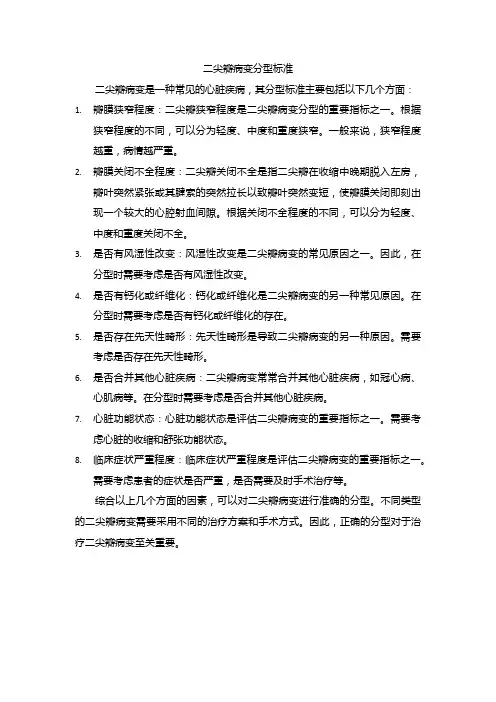 二尖瓣病变分型标准