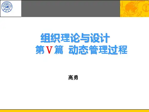 组织理论与设计11.ppt