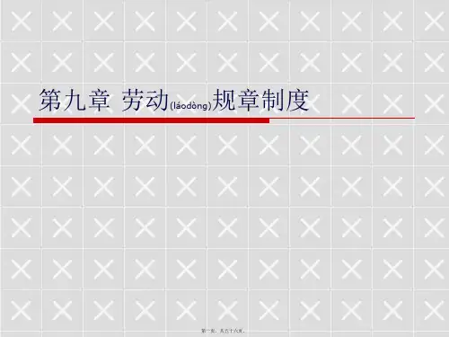 劳动规章制度教材(ppt版)