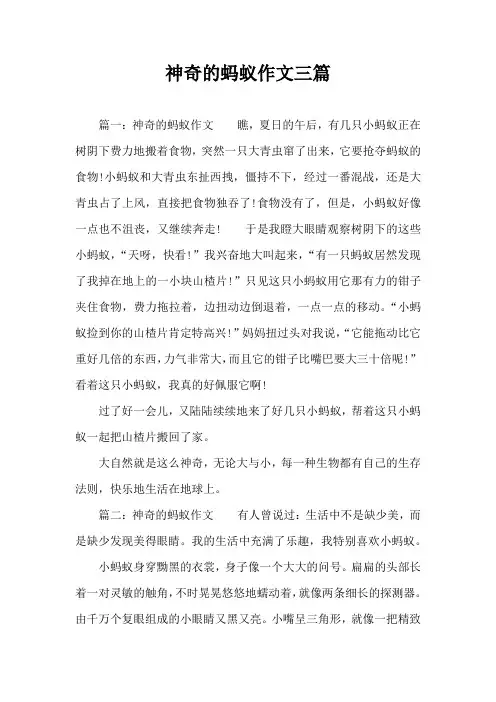 神奇的蚂蚁作文三篇