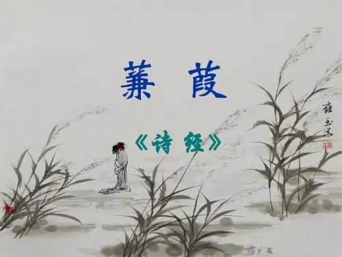 九年级语文上册《蒹葭》课件PPT