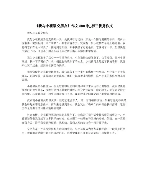 《我与小花猫交朋友》作文800字_初三优秀作文