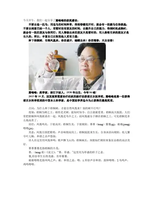 种下梧桐树引得凤凰来