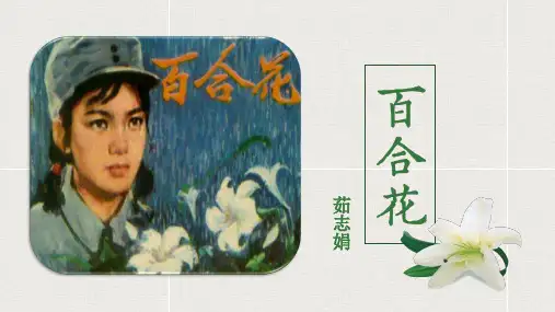《百合花》ppt课件