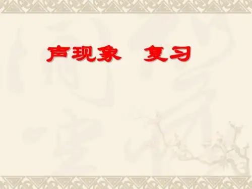 苏科版八年级物理上册 第一章《声现象》复习课件 (共24张PPT)