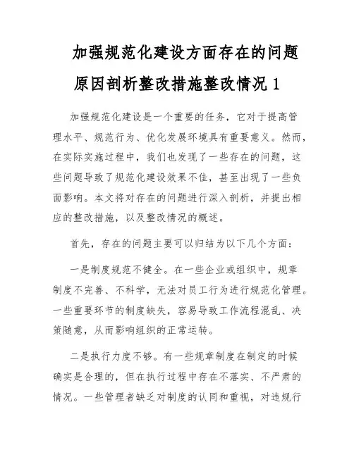 加强规范化建设方面存在的问题原因剖析整改措施整改情况1