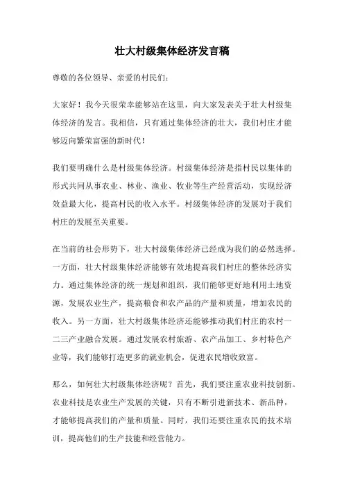壮大村级集体经济发言稿