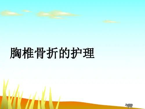 胸椎骨折的护理查房ppt课件
