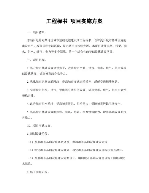 工程标书 项目实施方案