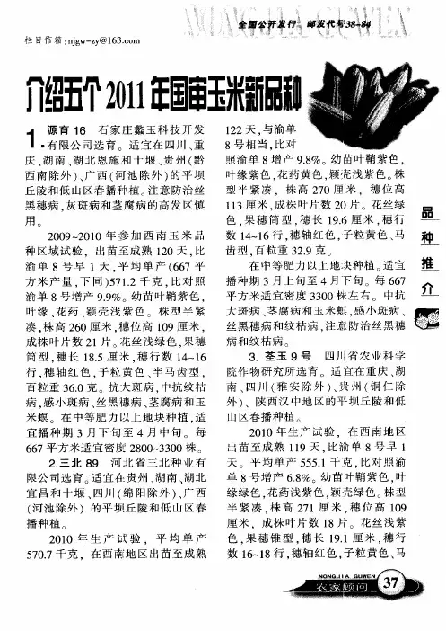 介绍五个2011年国审玉米新品种