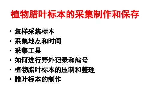 植物腊叶标本的采集制作和保存