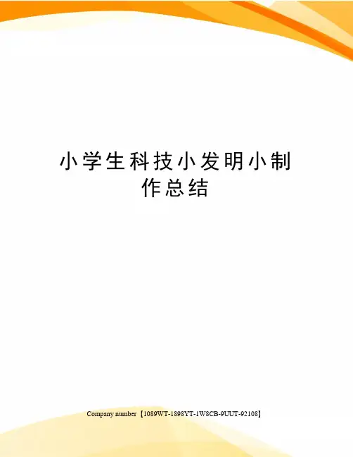 小学生科技小发明小制作总结