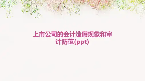 上市公司的会计造假现象和审计防范(ppt)