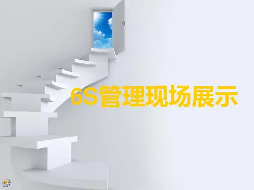 最详细的6S管理现场图片.pptx