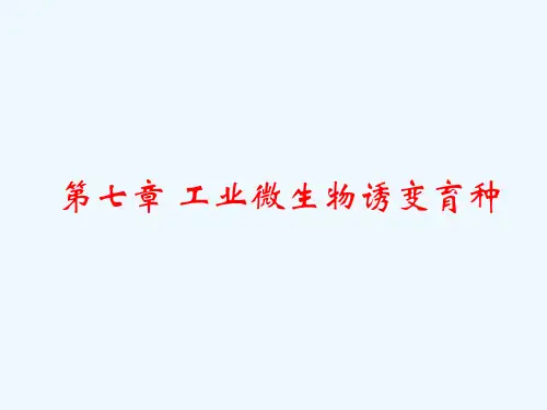 第七章工业微生物诱变育种