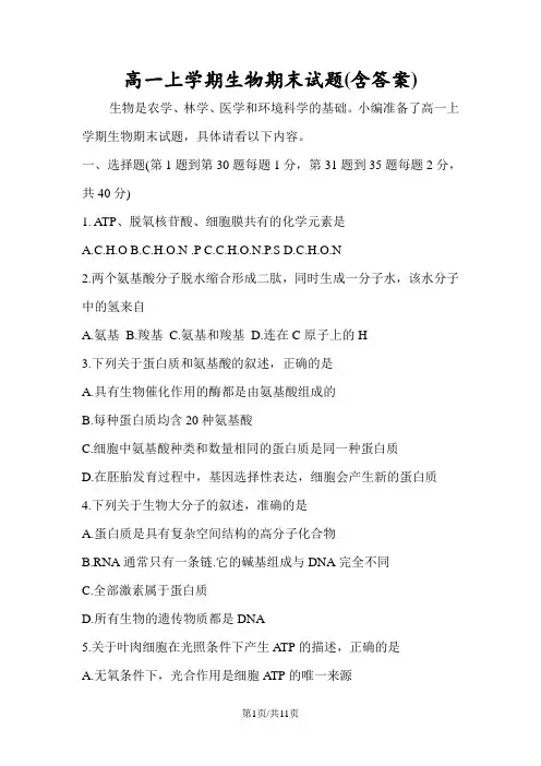 高一上学期生物期末试题(含答案)