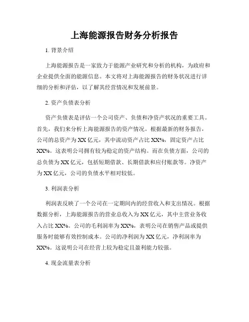 上海能源报告财务分析报告