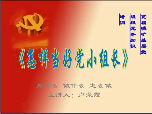 党小组长培训(定稿)