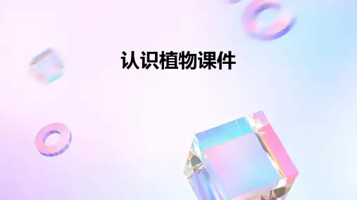 认识植物课件ppt
