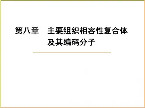 主要组织相容性复合体