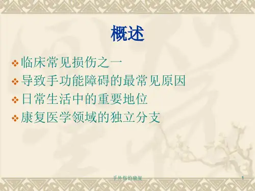 手外伤的康复课件