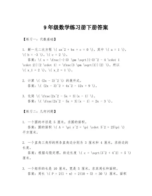 9年级数学练习册下册答案