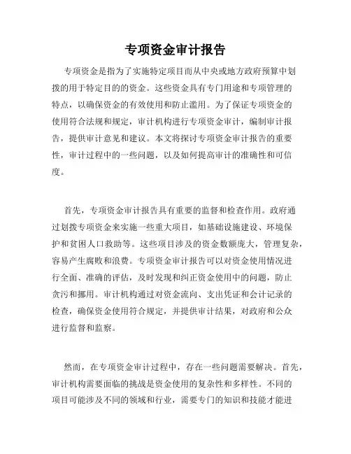 专项资金审计报告