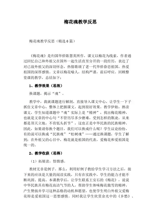 梅花魂教学反思