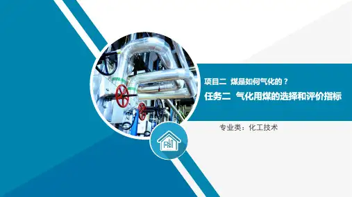 煤是如何气化—气化用煤(煤气化技术课件)